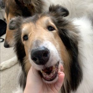 Meet your Posher, Emma